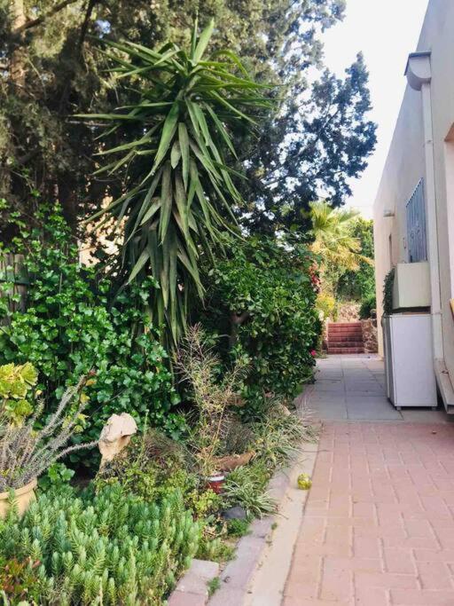 The Little Dorm And Beer Apartamento Arad Exterior foto
